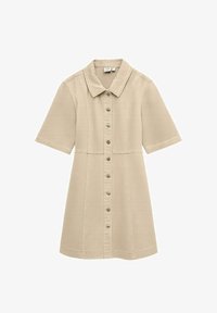 Neizbrano, silver mink