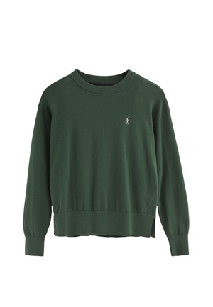 Suéter verde de punto con cuello redondo y mangas largas. Incluye una pequeña figura bordada en el pecho izquierdo. Textura suave y corte relajado.
