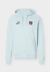 AUSTRIA ÖFB KING HOODIE - Article de supporter d'équipe nationale - modern mint/black