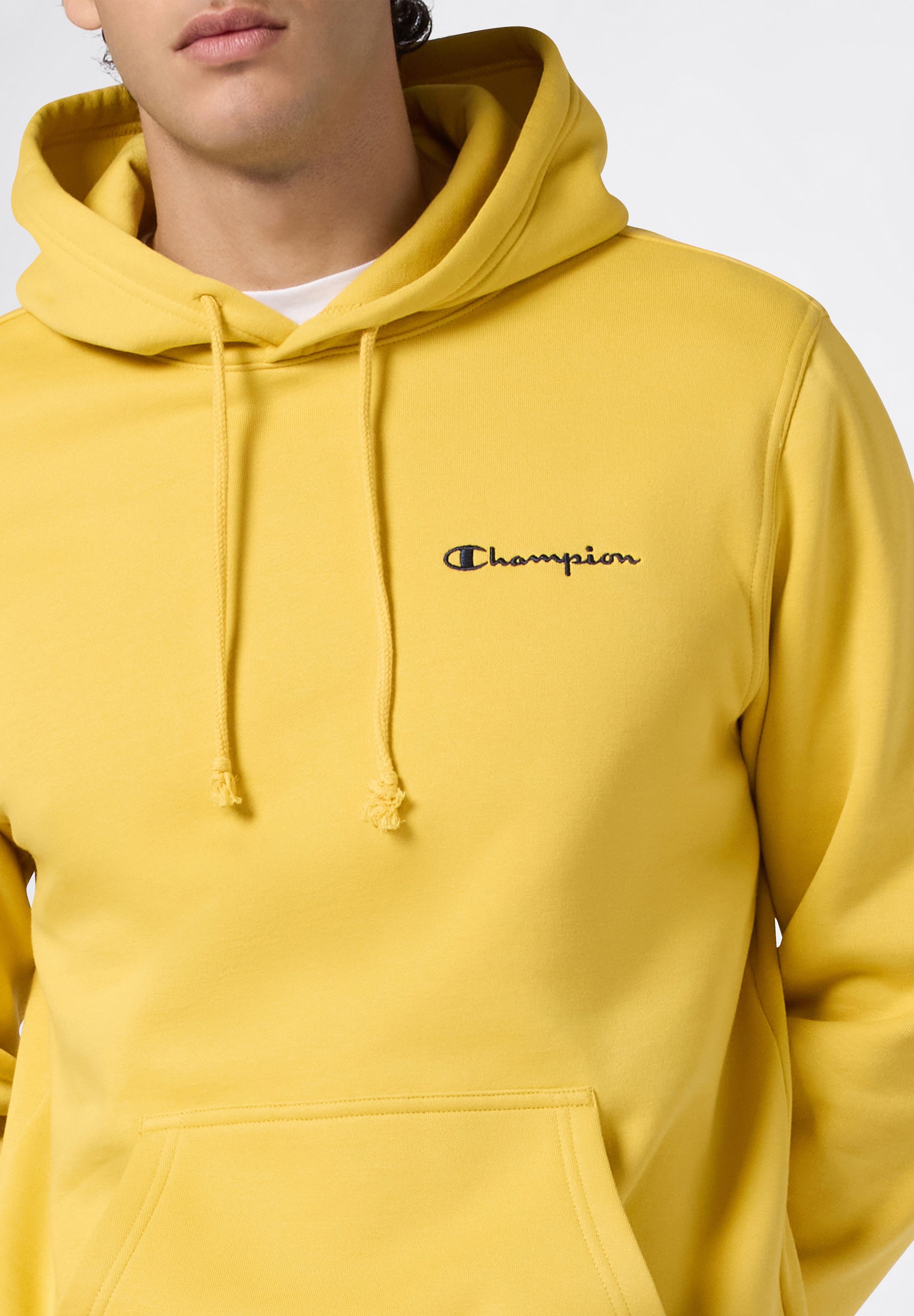 Champion ICONS HOODIE HEAVYWEIGHT REGULAR FIT - Hoodie - light