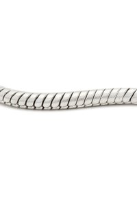Catena di metallo intrecciata in tonalità argento, caratterizzata da anelli interbloccati con una finitura liscia e lucidata e una leggera texture lungo tutta la lunghezza.