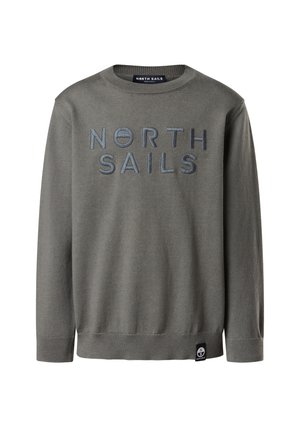 CREW-NECK WITH EMBROIDERY - Maglione - ash grey