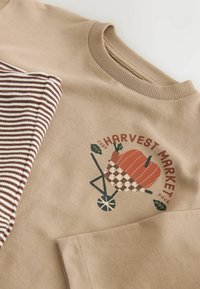 Beżowa bluza z napisem "Harvest Market" i grafiką taczki trzymającej dynię, obok brązowo-białego, paskowanego rękawa.