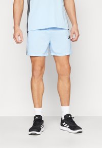 Šviesiai mėlyni sportiniai šortai su paprastu dizainu, turi reguliuojamą juosmenį. Dėvimi su šviesiai mėlynu marškinėliu ir juodais sportiniais batais.