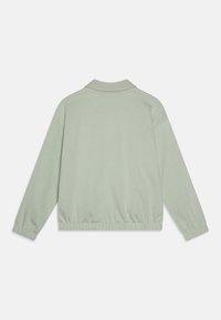 Casaco cropped verde-claro com colarinho, punhos elásticos e bainha. Feito de tecido liso com um design simples e minimalista.
