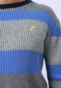 Suéter de punto a rayas gris y azul con textura de canalé, que presenta un pequeño logo de un pájaro amarillo en el pecho y un cuello redondo en color marino.