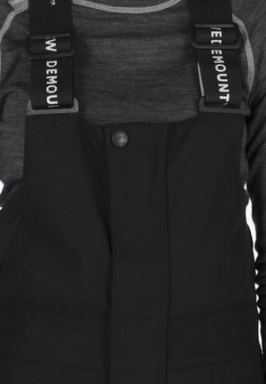 Swedemount Ski pants - black