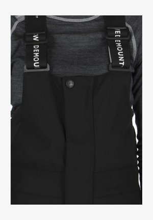 Swedemount Ski pants - black