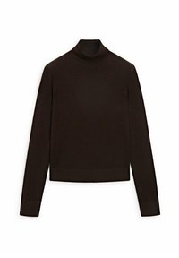 Brown turtleneck sweater with long sleeves, cropped design, ribbed texture at cuffs and hem, made of soft fabric.
