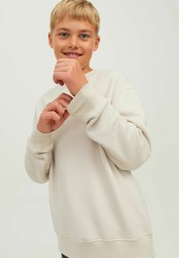 Felpa beige chiaro con maniche lunghe, vestibilità comoda, polsini a costine e scollatura a girocollo. Texture del tessuto morbida con dettagli di cucitura sottili.