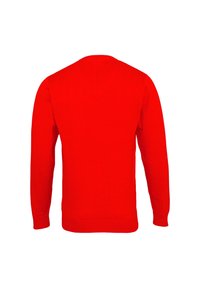 Roter Pullover mit langen Ärmeln, Rundhalsausschnitt, gerippten Bündchen an Ärmeln und Saum, gefertigt aus weichem Stoff in einfarbiger Ausführung ohne sichtbare Muster oder Akzente.