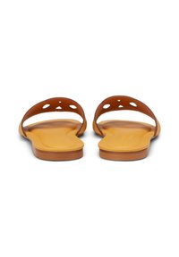 Brown flat sandals with open straps and circular cutouts, featuring a tan footbed and minimalistic design, displayed from the back.