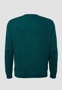 Felpa verde con collo a giro, maniche lunghe, polsini e orlo a costine, realizzata in morbido tessuto di cotone, presenta una texture liscia.