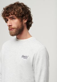 Felpa grigia chiara realizzata in misto cotone. Presenta un collo a giro, polsini a costine e un piccolo logo ricamato sul petto sinistro.