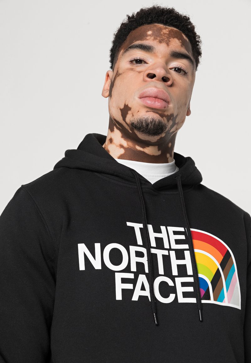 The North Face Men's Pride Pullover Hoodie Academy | craft-ivf.com