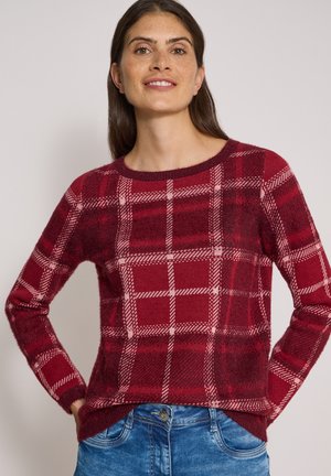 Mujer con cabello castaño que lleva un suéter de cuadros rojo y rosa y vaqueros azules, de pie con las manos en las caderas sobre un fondo liso.