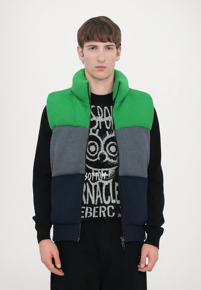 Iceberg Vest - fantasia verde/grigio/blu