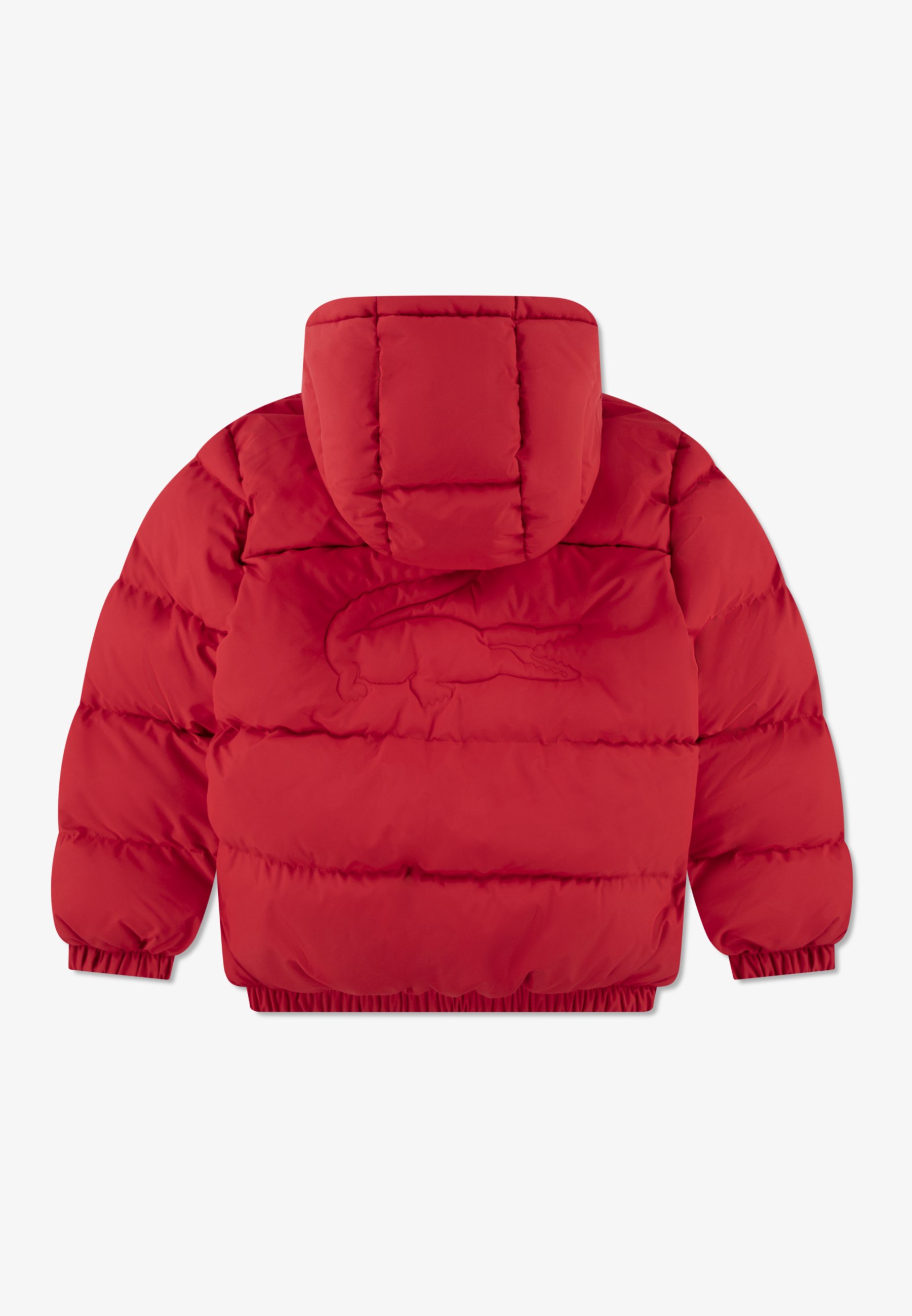 Lacoste CORE PUFFER JKT UNISEX - Winter jacket - red - Zalando.co.uk