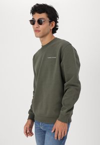 Tommy Jeans LINEAR CREW  - Sportinis megztinis - fatigue green