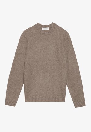 Pale rjav volnen pulover z okroglim izrezom, dolgimi rokavi ter rebrastimi manšetami in robom. Tekstura se zdi mehka in rahlo puhasta.