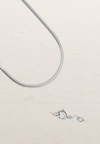 Silberner Metallsnake-Chain mit einer glatten, strukturierten Oberfläche; verfügt über einen Karabinerhaken und ein Metalletikett in der Nähe des Hakens, das für einen sicheren Verschluss sorgt.