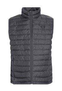 Chaleco de plumas gris con cuello alto y cierre frontal. Presenta una textura acolchada y dos bolsillos laterales. Diseño sencillo y ligero.
