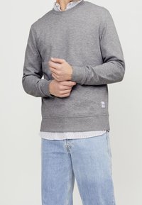 Felpa grigia con maniche lunghe, girocollo, polsini e orlo a costine. Indossata sopra una camicia a righe. Il tessuto sembra morbido con una texture liscia.