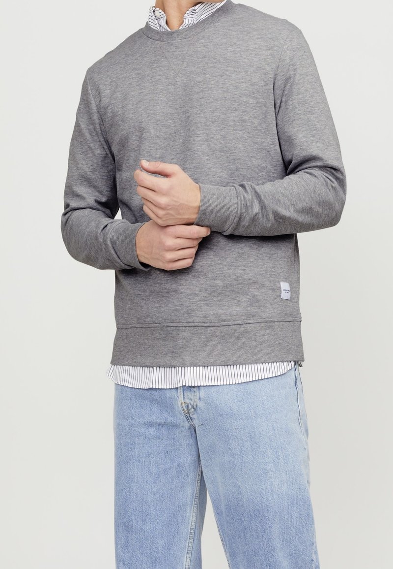 Felpa grigia con maniche lunghe, girocollo, polsini e orlo a costine. Indossata sopra una camicia a righe. Il tessuto sembra morbido con una texture liscia.