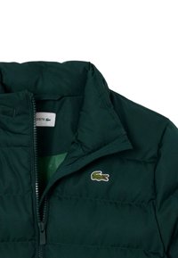 Tmavozelená vatovaná bunda s predným zipsom, stojačikovým golierom a malým vyšívaným logom krokodíla na ľavej strane hrudníka.