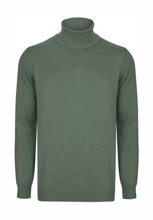 TURTLENECK - Strickpullover - green