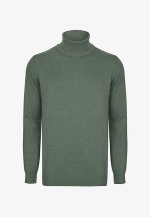 Grüner gestrickter Rollkragensweater mit gerippten Bündchen und Kragen, der eine glatte Textur und eine taillierte Passform aufweist. Einfach, einfarbig ohne Muster.