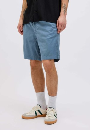 Pantaloni corti in cotone azzurro chiaro con tasche laterali, caratterizzati da una vestibilità rilassata. Indossati con calzini bianchi e sneakers crema con dettagli verdi.