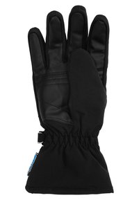Reusch HANNAH R-TEX® XT - Gloves - black/silver