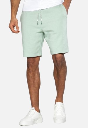 Shorts - mint