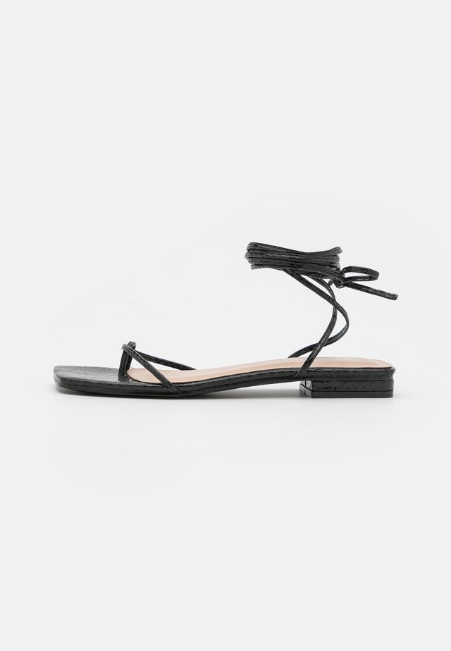 DOLLI - Infradito - black