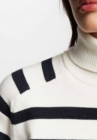 Pull en maille à col roulé rayé en blanc et marine. Présente un col côtelé et des accents de fil brillant à travers les rayures.