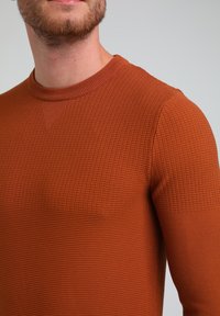 Sweter dzianinowy w rdzawym pomarańczu, z teksturowanym wzorem, okrągłym dekoltem i dopasowanymi rękawami, z prążkowanym wykończeniem przy kołnierzu.