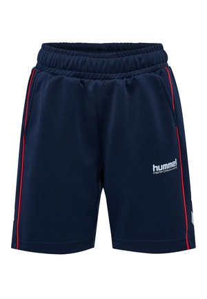 Marineblå shorts lavet af blødt stof, med en rød side-stribe, elastisk talje og logo på venstre underben. Enkelt, funktionelt design.