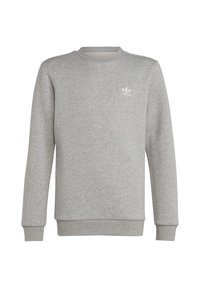 Grey sweatshirt made of cotton blend, featuring a crew neck and long sleeves. Small white logo on the left chest. Ribbed cuffs and hem.