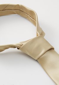 Cravate en soie beige à la texture lisse, présentant un design noué avec une large extrémité s'affinant en une pointe étroite, sur fond blanc.