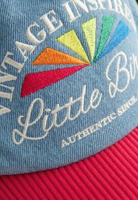 Sinine teksamüts, millel on brodeeritud mitmevärvilised kiired ja valge tekst. Omab punast soonikkarmi ja sildiga "Vintage Inspired Little Bird".