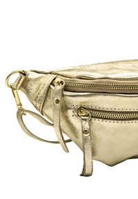 Sac à main en cuir doré métallique avec deux compartiments zippés, une bandoulière ajustable et de petits accents en matériel décoratif. Texture lisse sur l'ensemble.