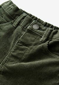 Next REGULAR FIT - Trousers - khaki green