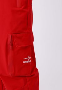 Project X Paris JOGGING ADVENTURE - Cargobroek - rouge