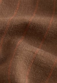 REGULAR FIT RICH CITY - Lühikesed püksid - brown orange stripe
