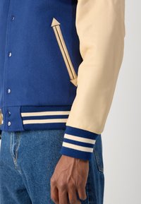 Schott Bomber Jacket - blue/beige