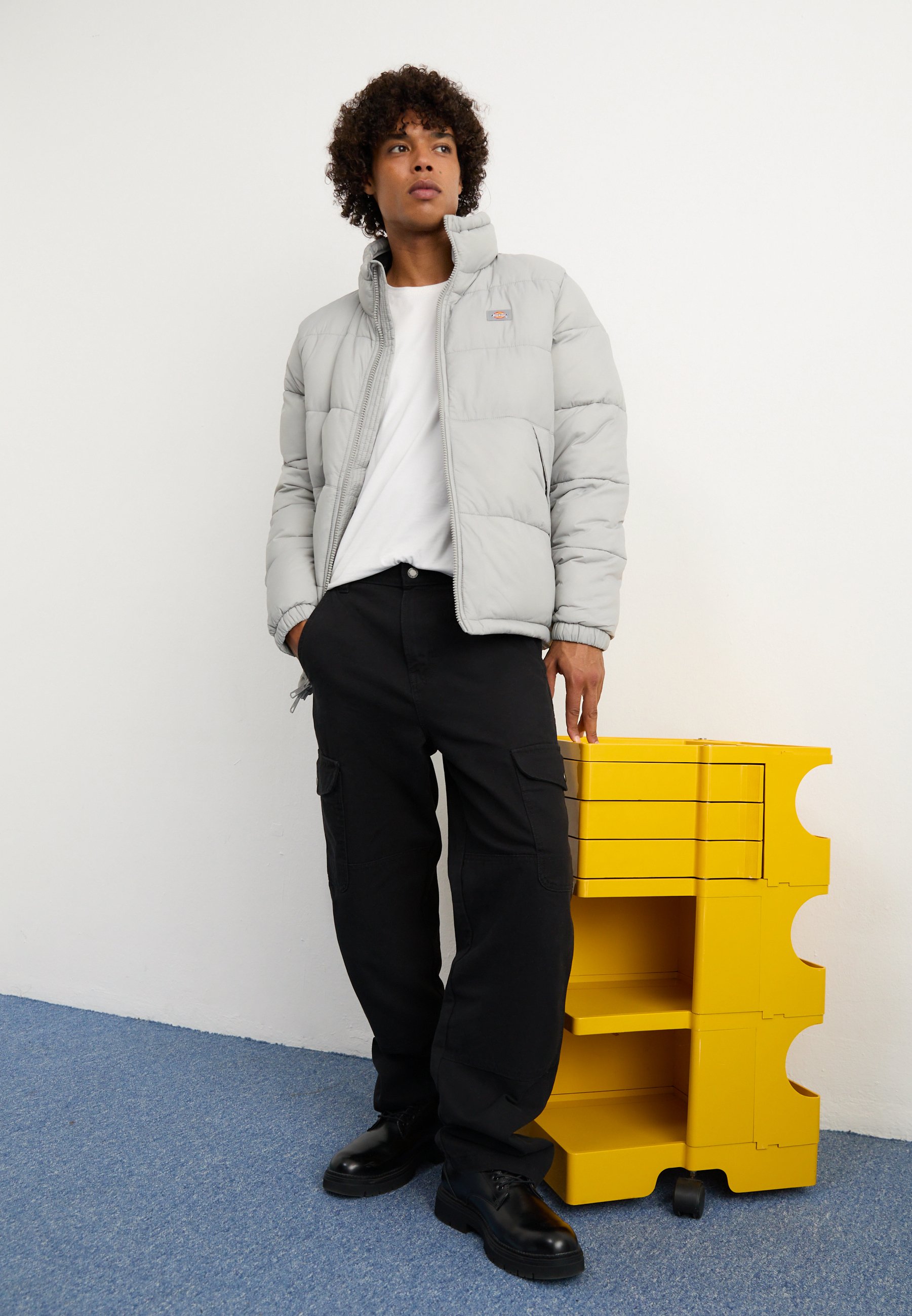Dickies WALDENBURG JACKET - Winter jacket - ultimate gray/grey