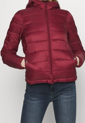 Doudoune rouge avec capuche, dotée d'une fermeture éclair à l'avant, de coutures horizontales, de poignets élastiques et de poches latérales. Le matériau semble lisse et brillant.