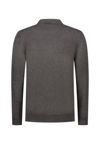 Grijze gebreide trui met een kraag, lange mouwen en geribbelde manchetten en zoom. Gladde textuur zonder patronen of extra accenten.