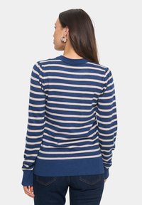 Mėlynas ir grietinėlės spalvos dryžuotas megztinis su ilgomis rankovėmis, banguota kaklo linija ir kraštu, minkšta tekstūra ir laisvas siluetas, matomas iš nugaros.